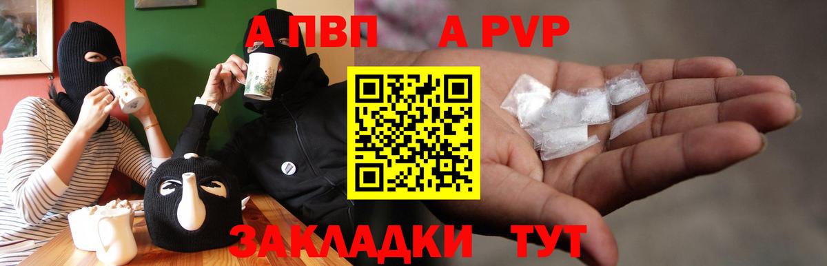 Alfa_PVP СК Кузнецк