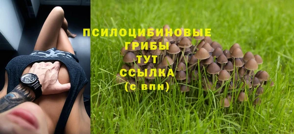 прущая мука Новозыбков