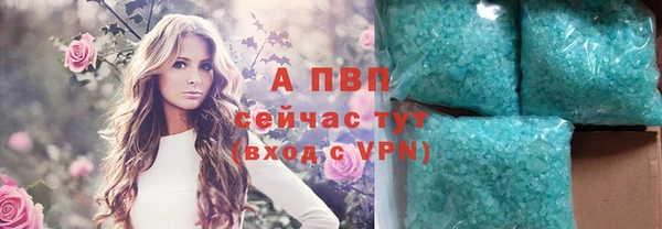 каннабис Новокубанск