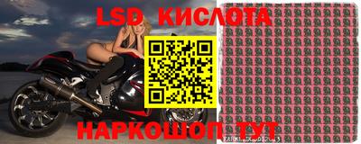 прущие крисы Волгодонск