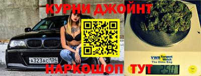 гашик Аргун