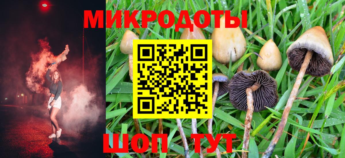 купить  сайты  Псилоцибиновые грибы MAGIC MUSHROOMS  Вход с VPN  Галлюциногенные грибы мицелий  Кузнецк 